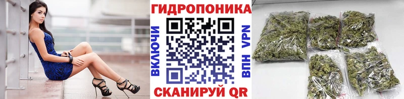 Конопля OG Kush  Енисейск 